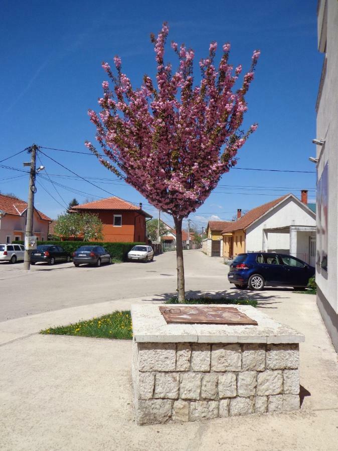 Apartman Bedem Nikšić Extérieur photo